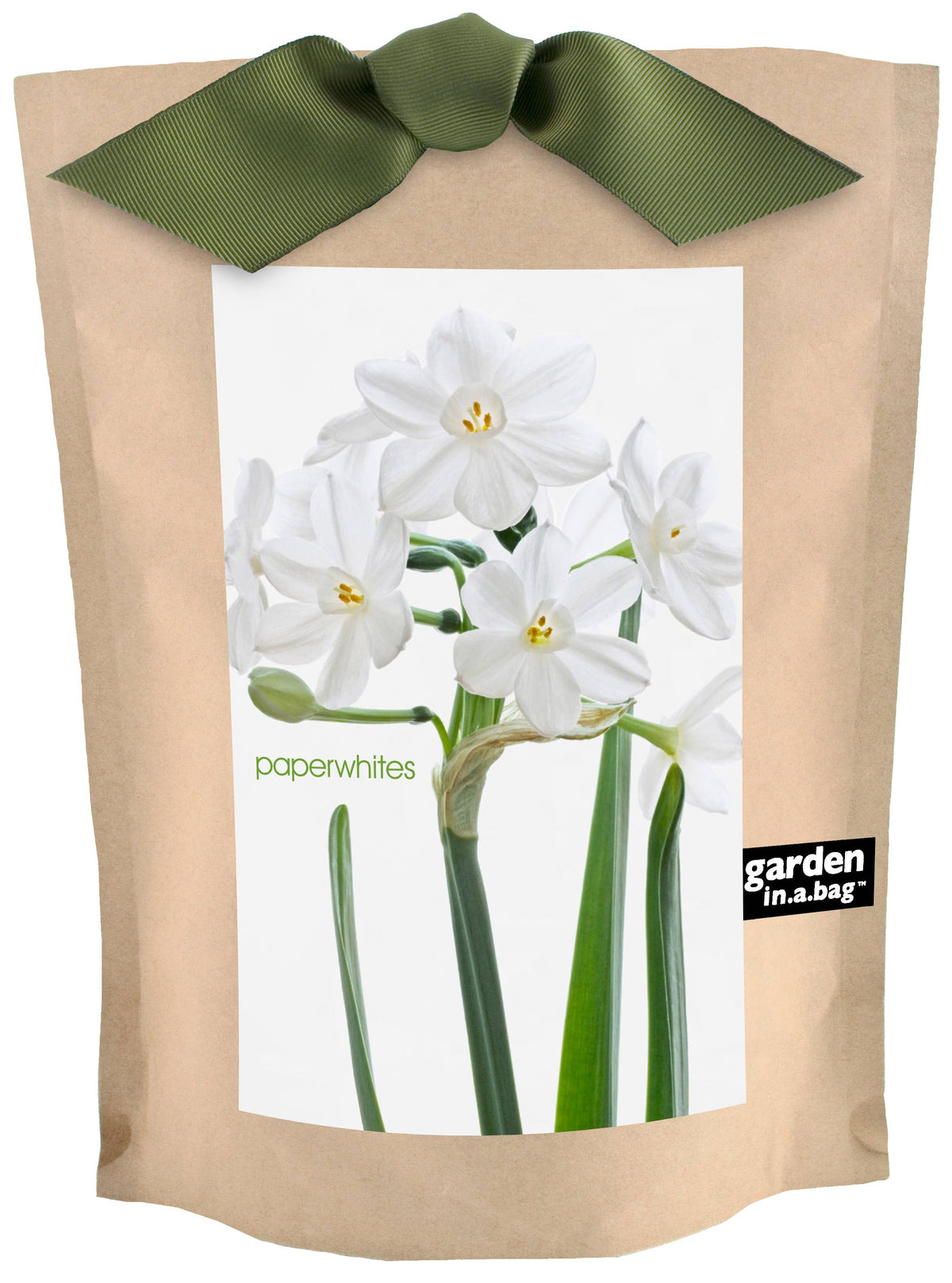 Garden in a Bag Paperwhites | Fall & Christmas | Best Seller