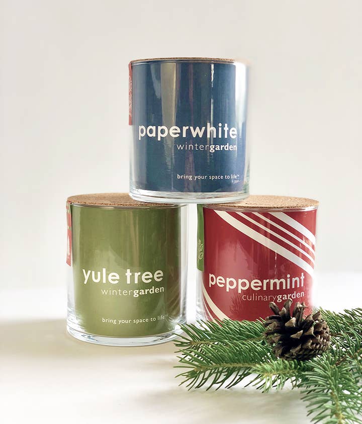Essential Peppermint | Herb Garden | Tea lover