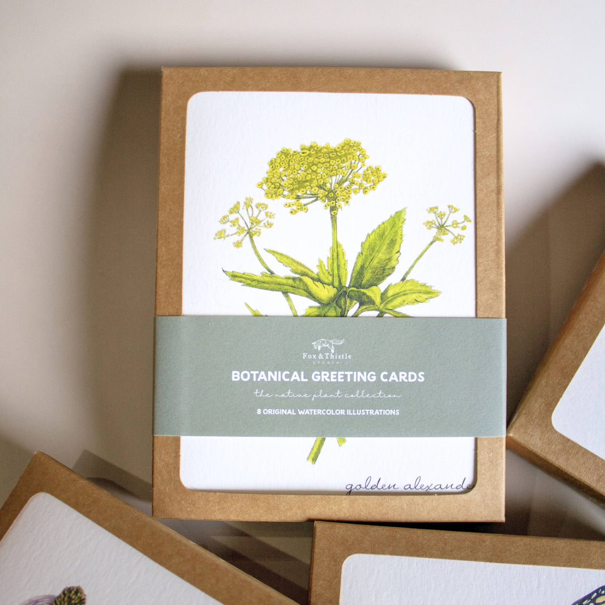 Boxed Botanical Illustration Greeting Card Set