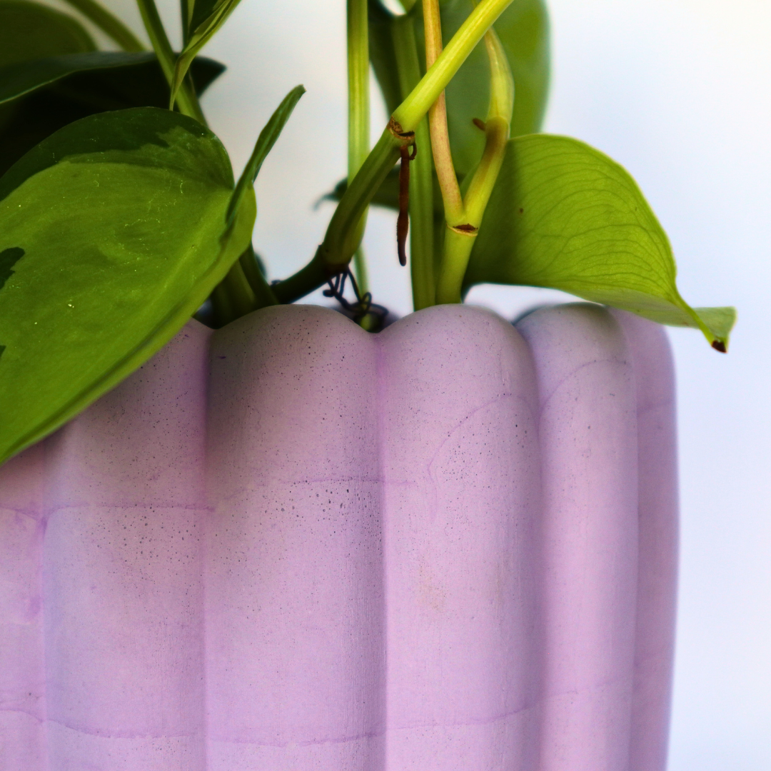 Scallop Planter - 4.5"