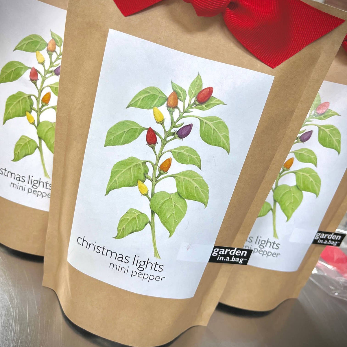 Garden in a Bag Christmas Lights Peppers | Best Seller