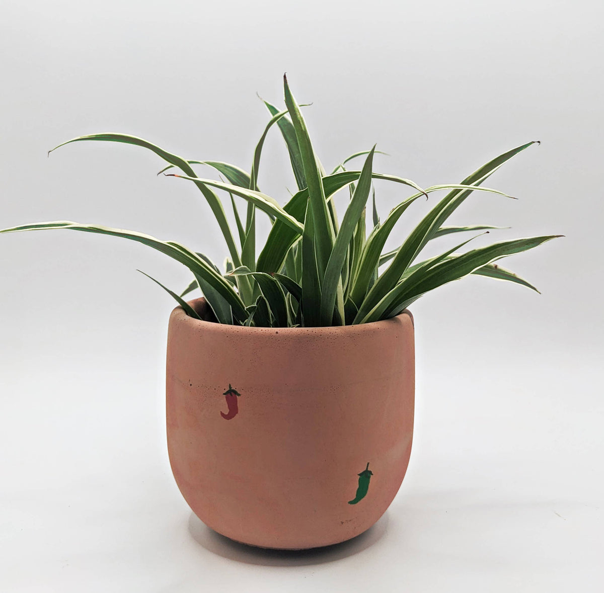Concrete Planter - 4"