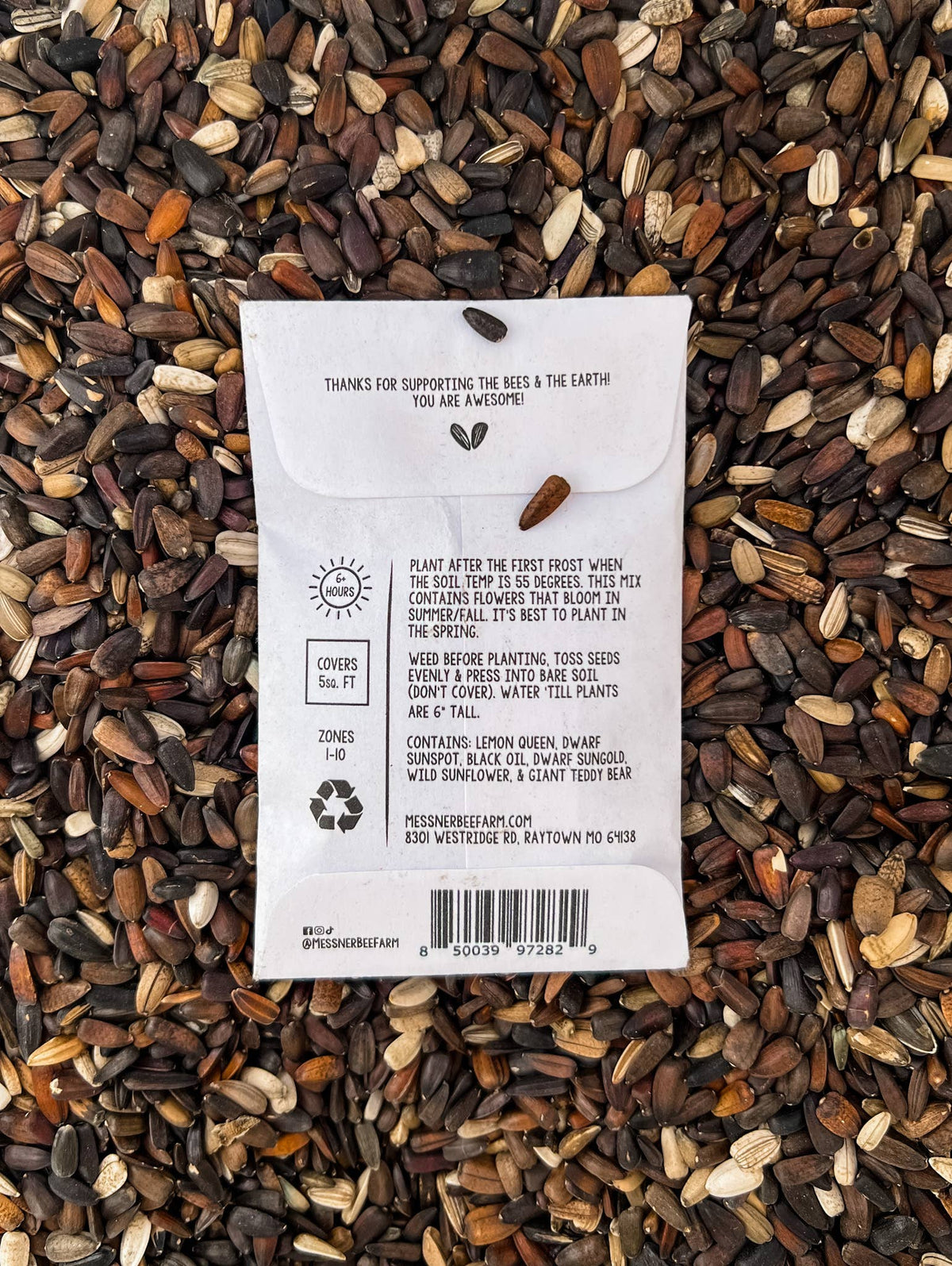 Honeybee Sunflower Garden Seed Packet