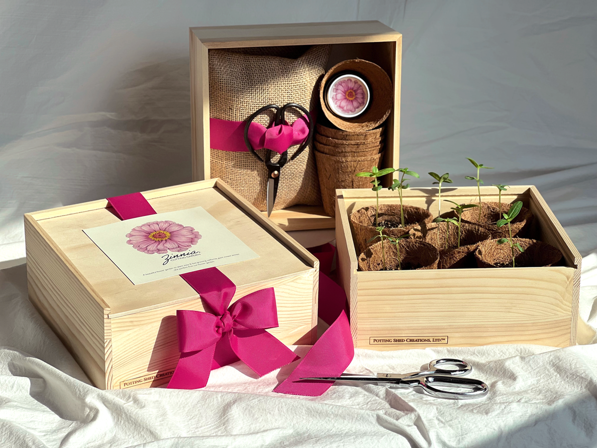 Flower Cutting Garden Box | Mixed Zinnia | Mother's Day