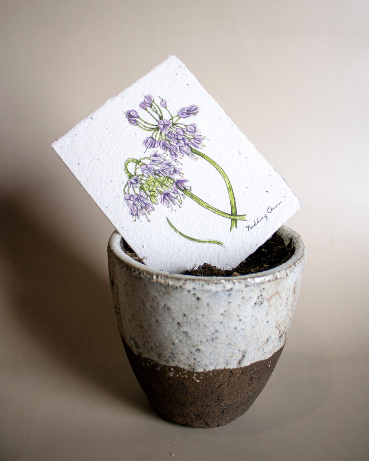 Plantable Botanical Greeting Card
