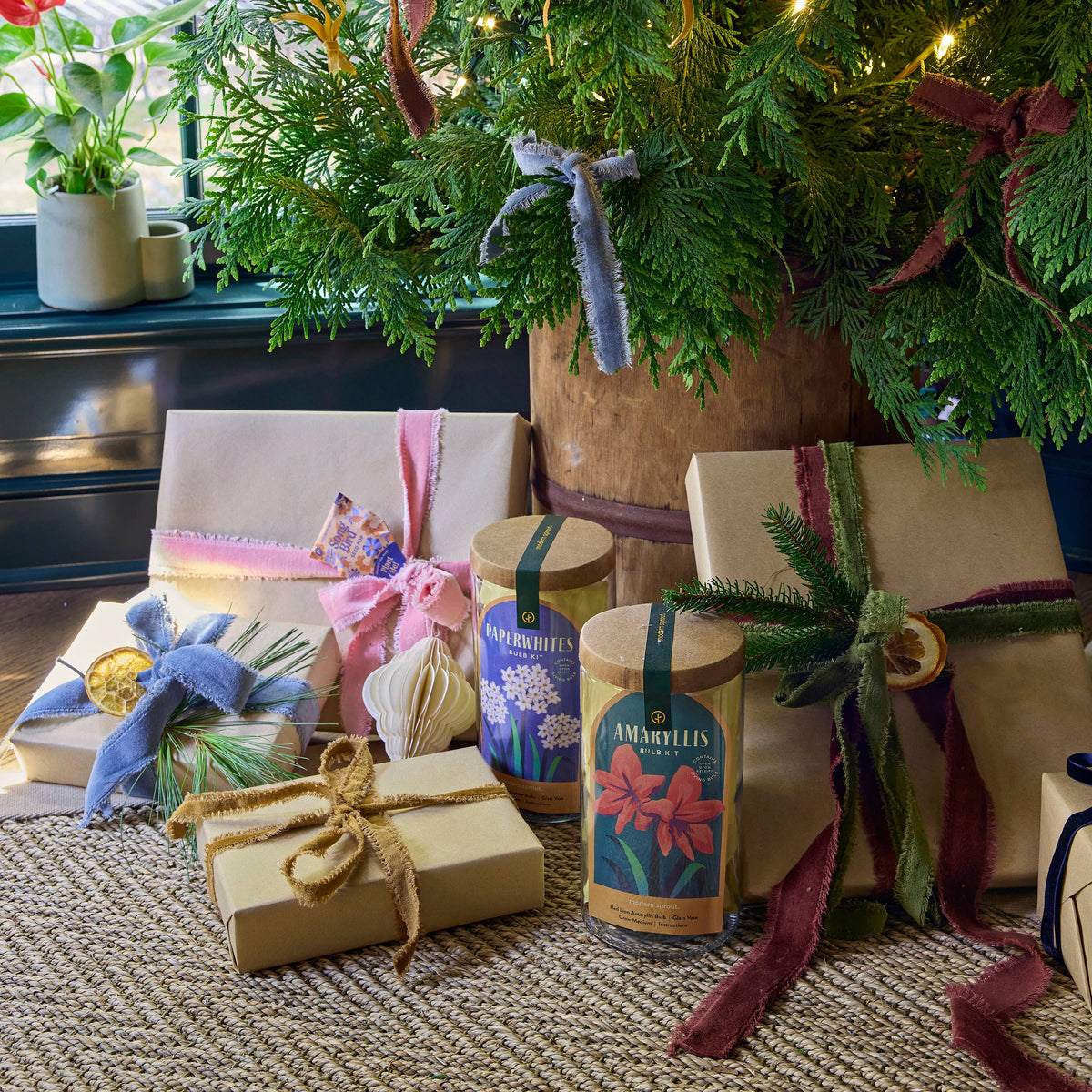 Winter Bulb Kit