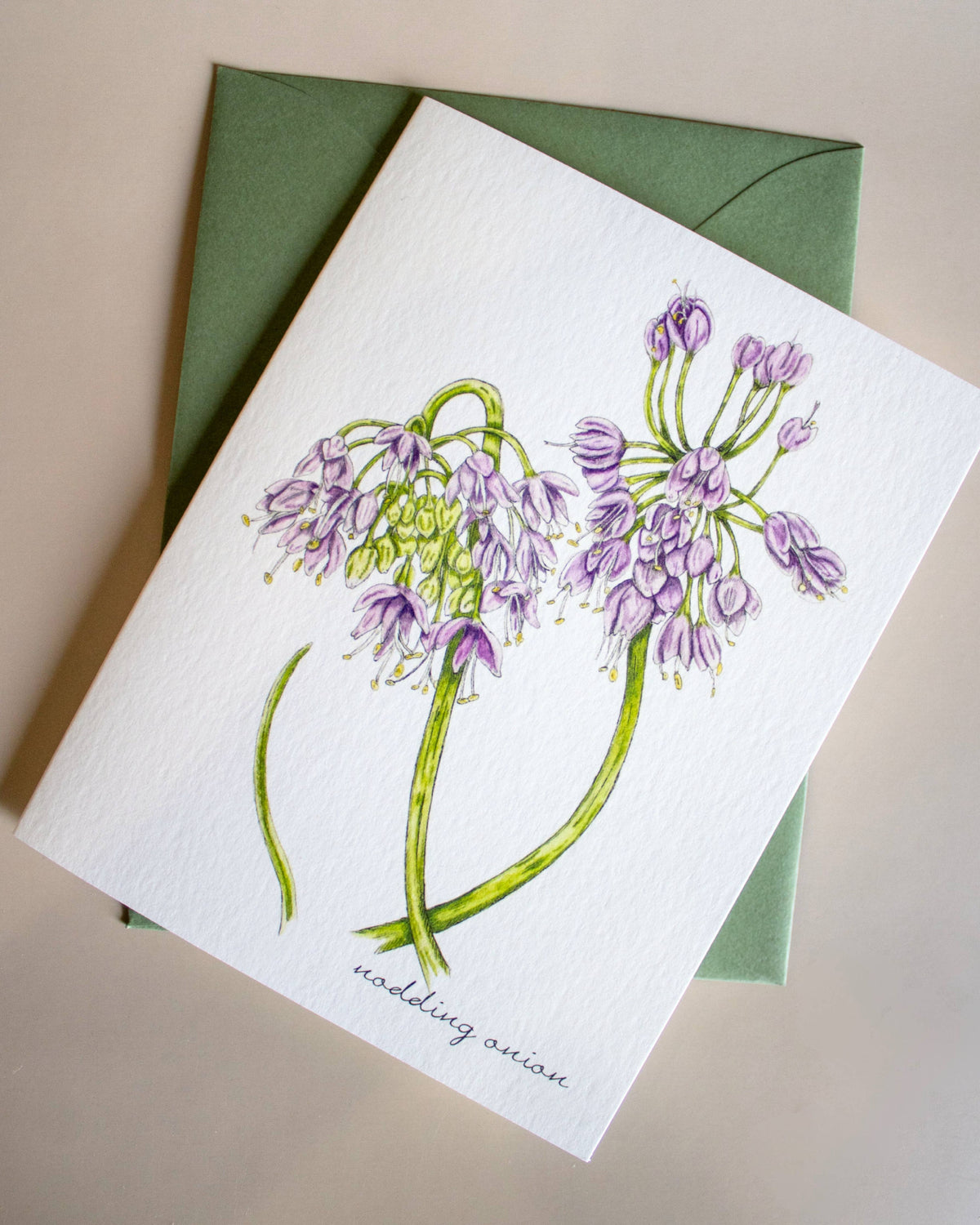 Boxed Botanical Illustration Greeting Card Set