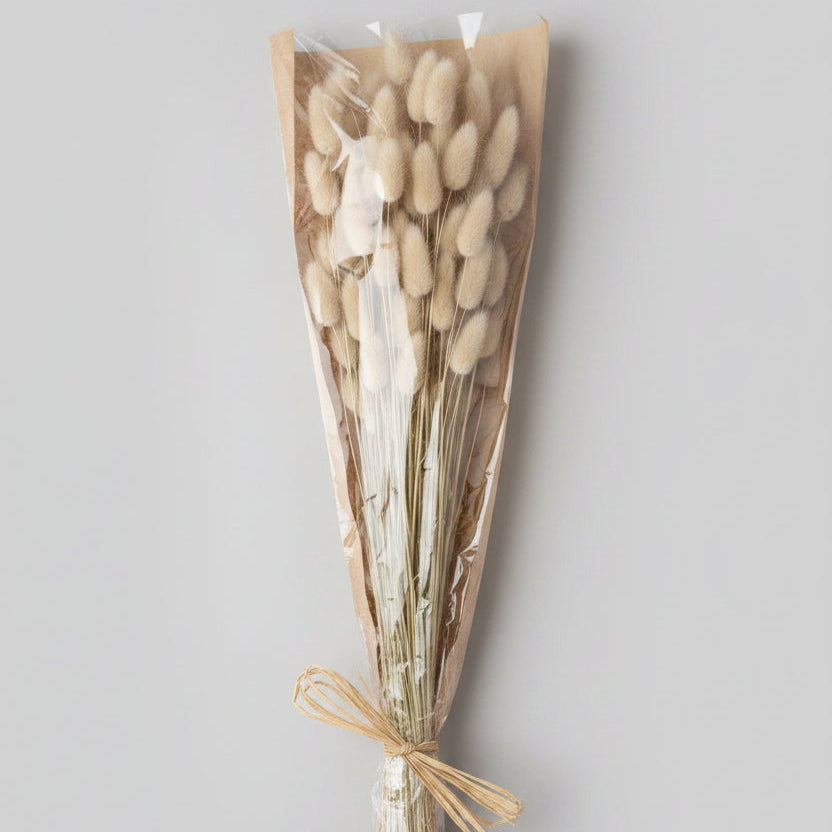 Preserved Bunny Tail Bundle