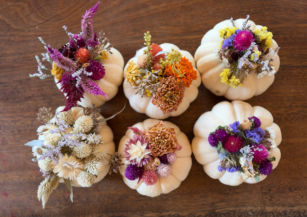 Dried Flower Pumpkins