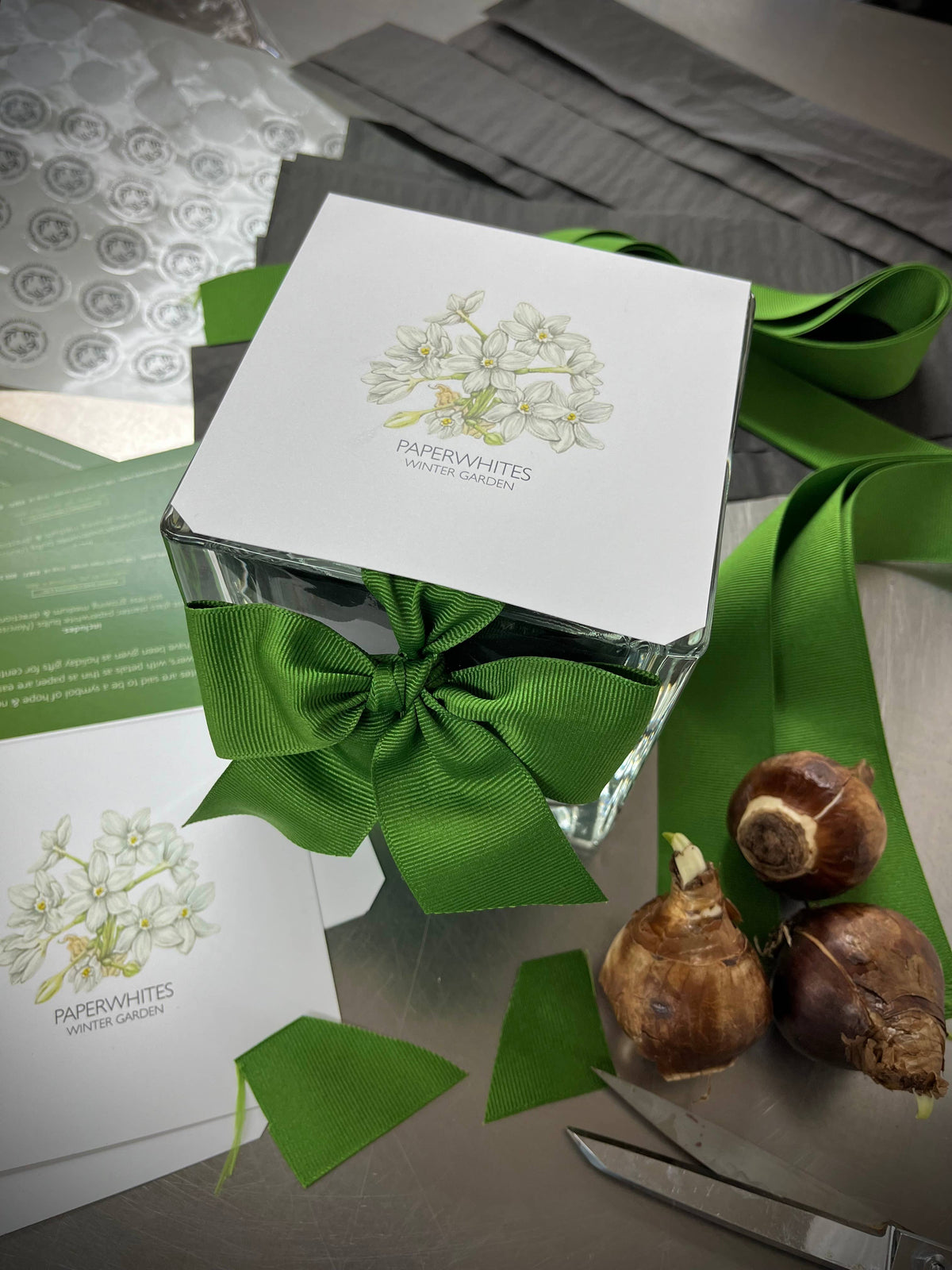 Garden in a Bag Paperwhites | Fall & Christmas | Best Seller
