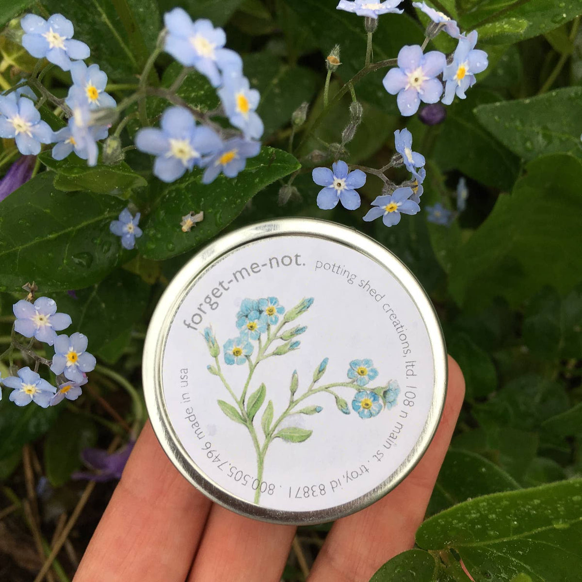 Garden Sprinkles | Forget-Me-Not | Wedding favor idea