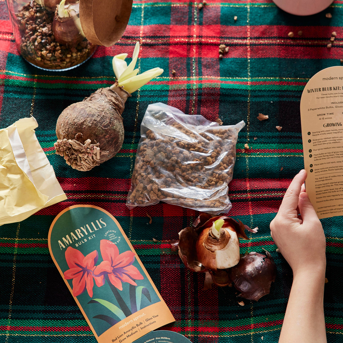 Winter Bulb Kit