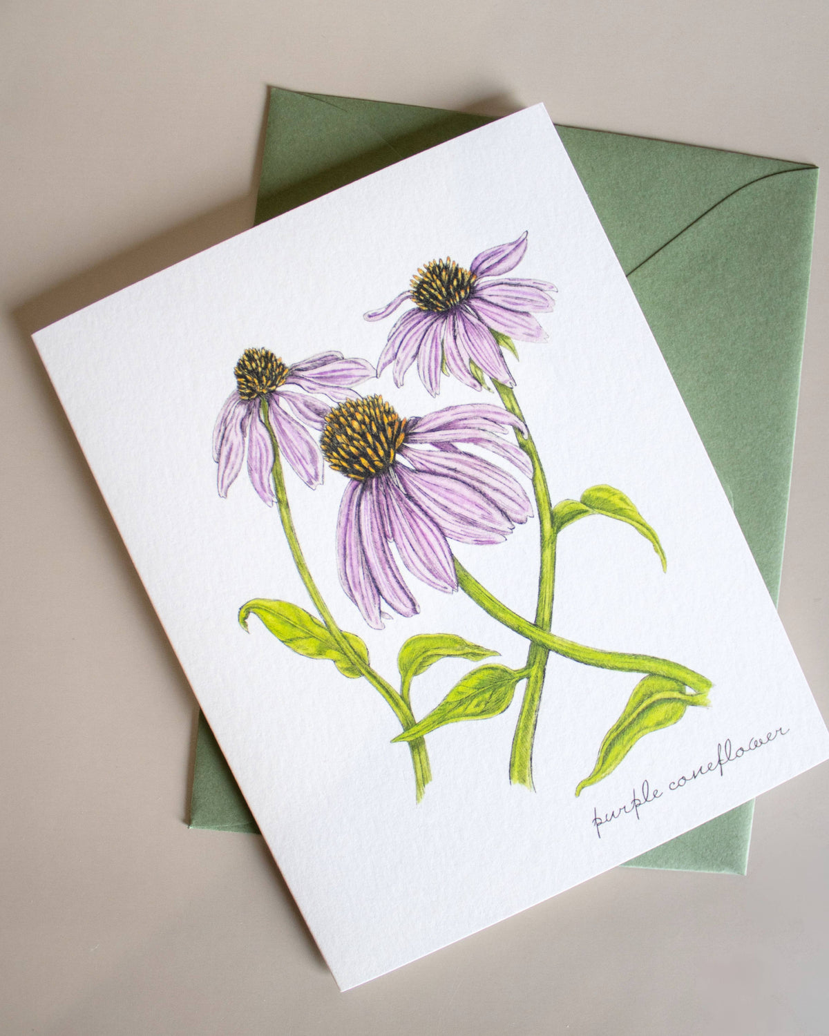 Boxed Botanical Illustration Greeting Card Set