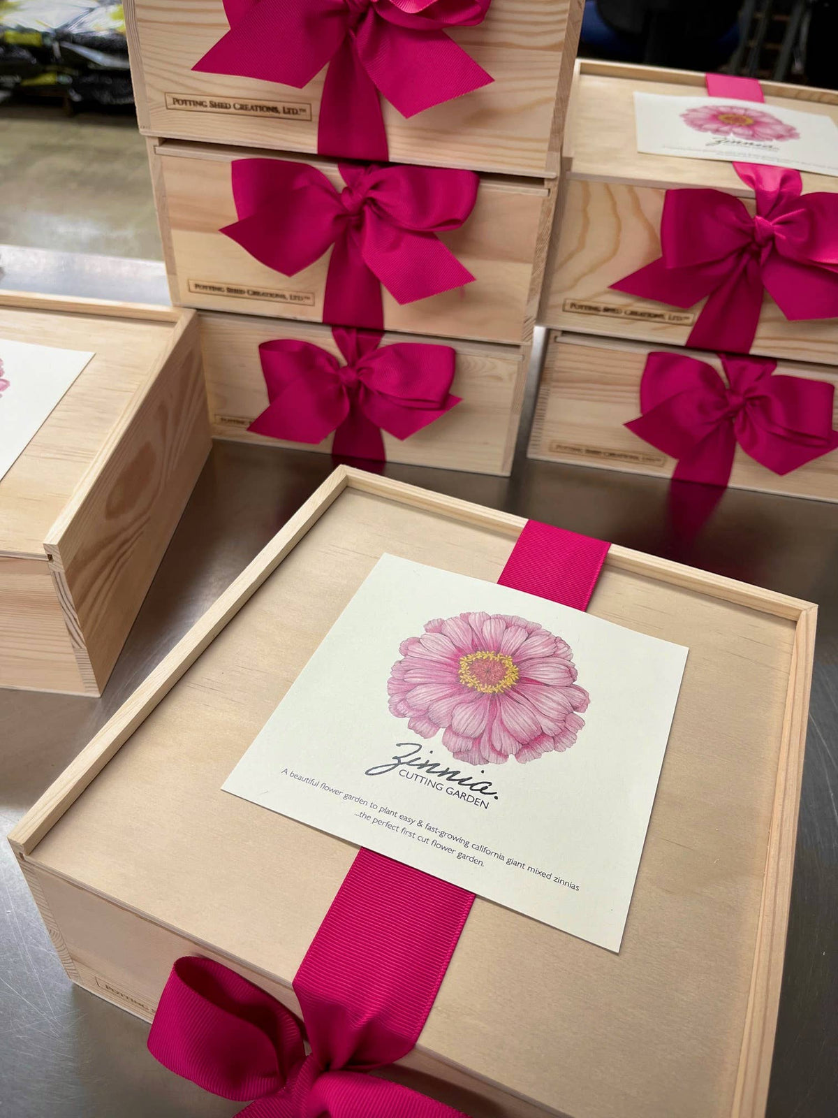 Flower Cutting Garden Box | Mixed Zinnia | Mother's Day