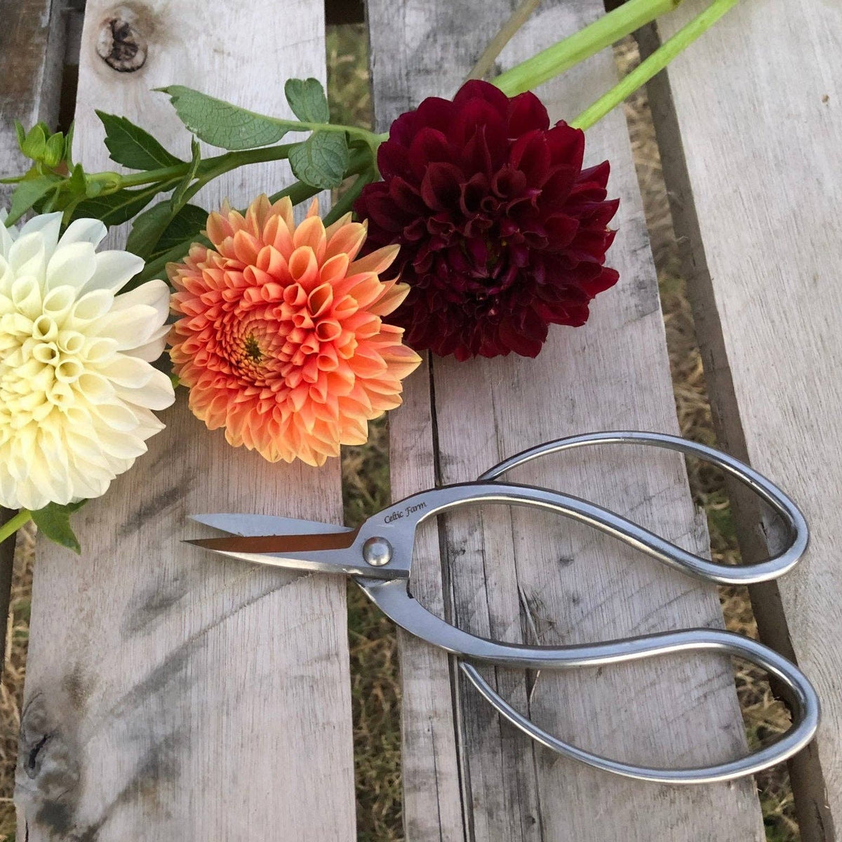 Stainless Garden Scissors (Pruning Shears/Pruners/Secateurs/Clippers)
