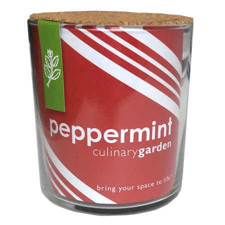 Essential Peppermint | Herb Garden | Tea lover