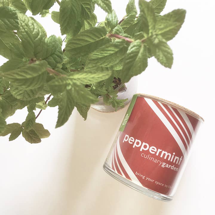 Essential Peppermint | Herb Garden | Tea lover