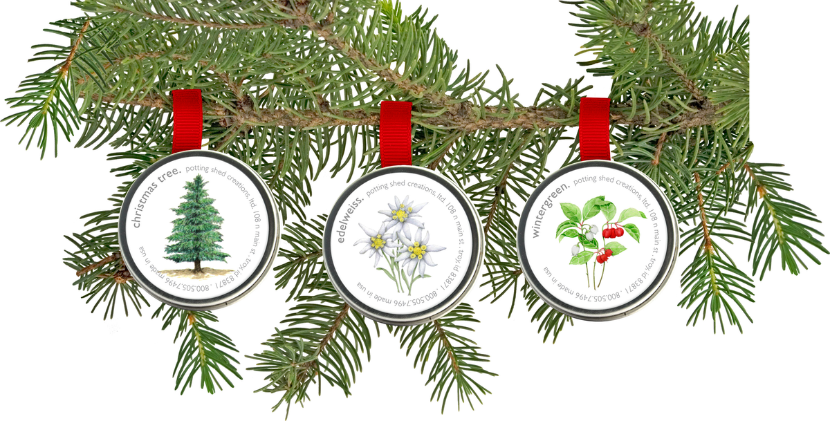 Garden Sprinkle Ornaments | Christmas Wintergreen | Fall