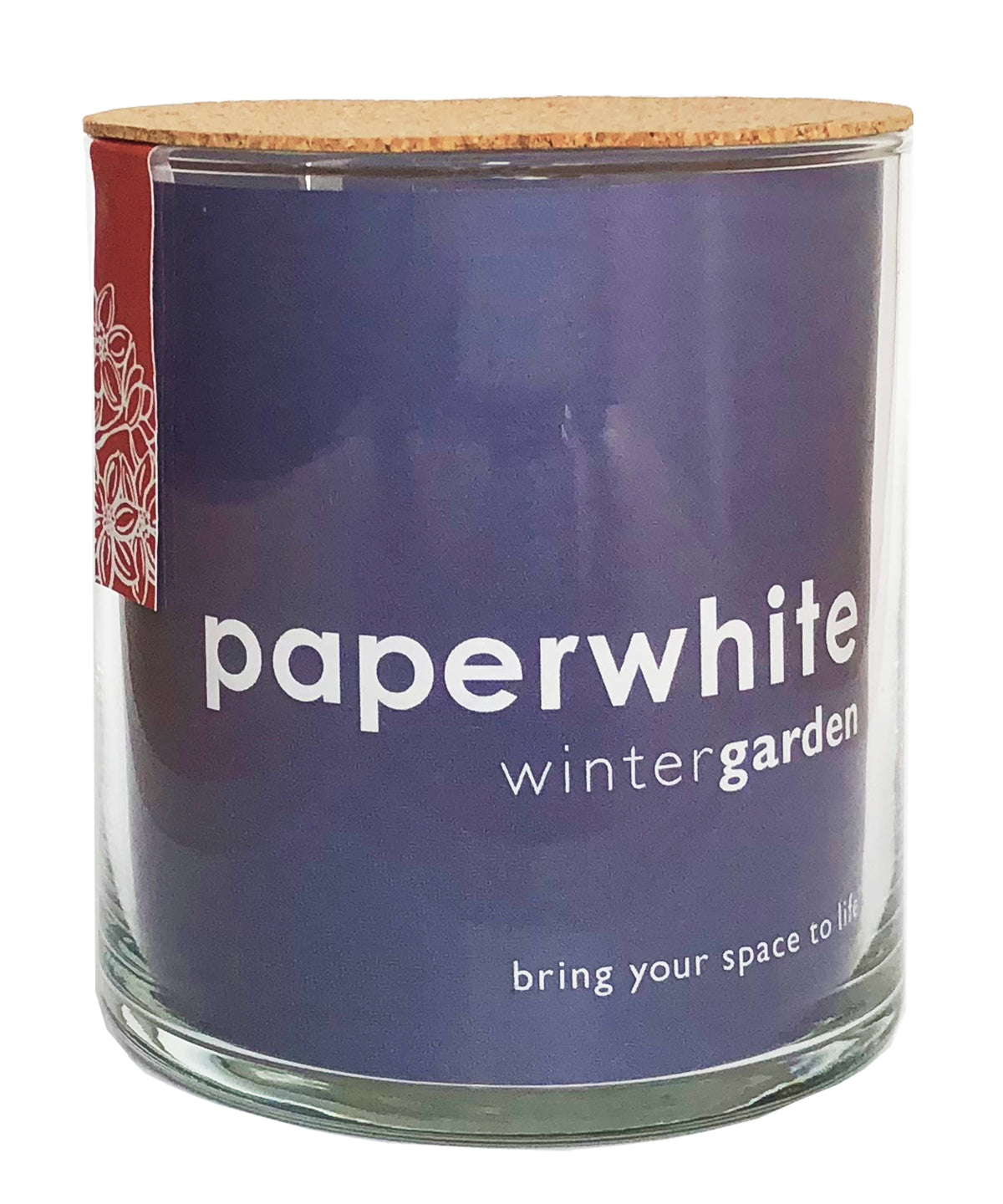 Garden in a Bag Paperwhites | Fall & Christmas | Best Seller