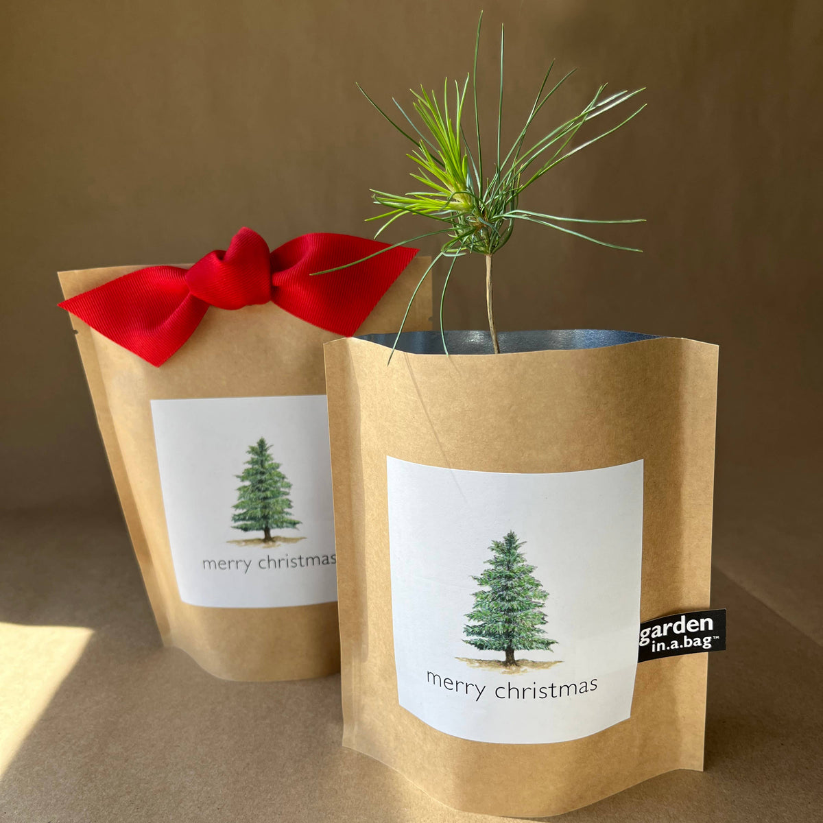 Garden in a Bag Christmas Tree | Holiday Best Seller