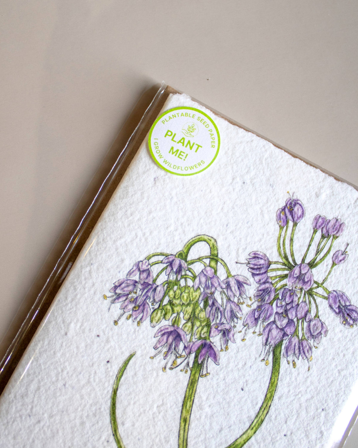 Plantable Botanical Greeting Card