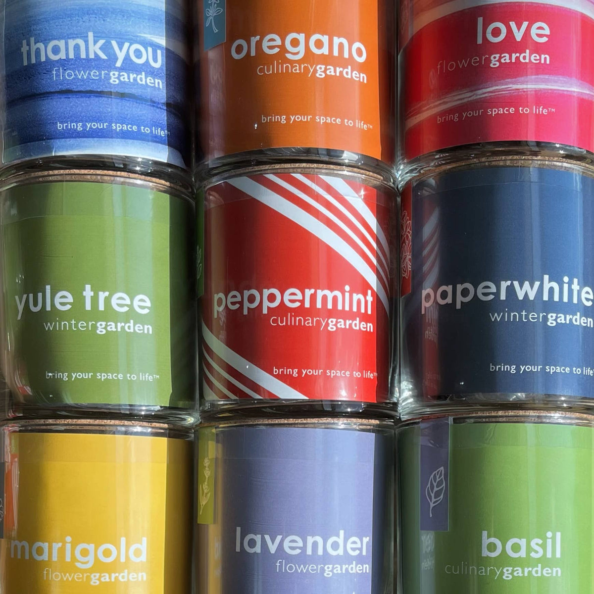 Essential Peppermint | Herb Garden | Tea lover