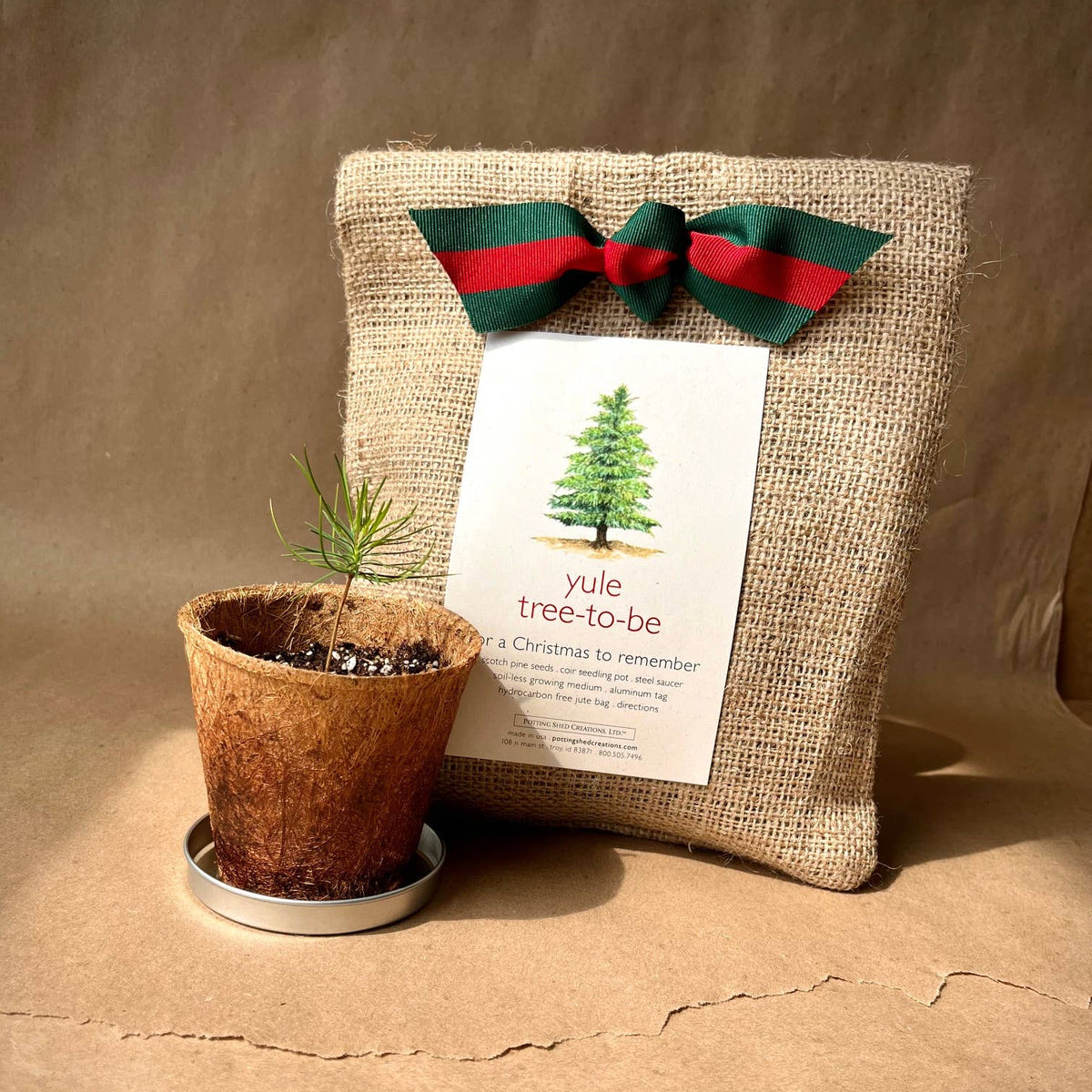 Christmas Tree to Be | Holiday gift | Fall Favorite