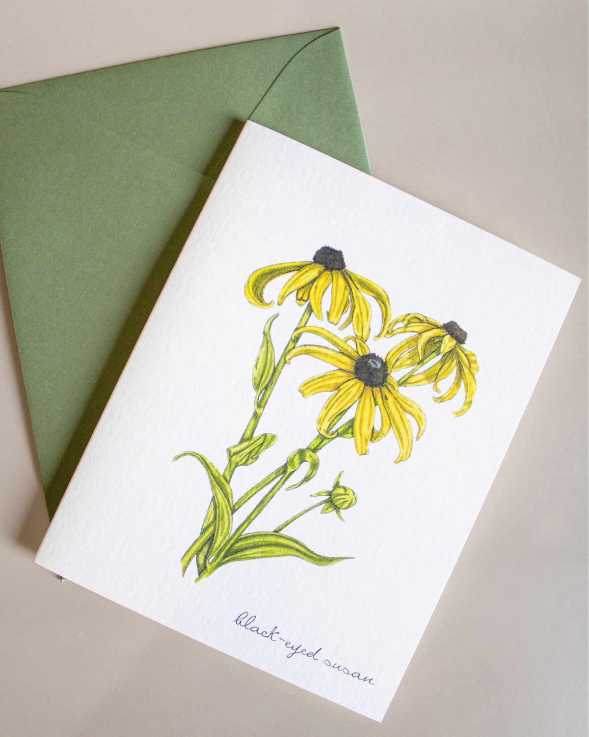 Boxed Botanical Illustration Greeting Card Set