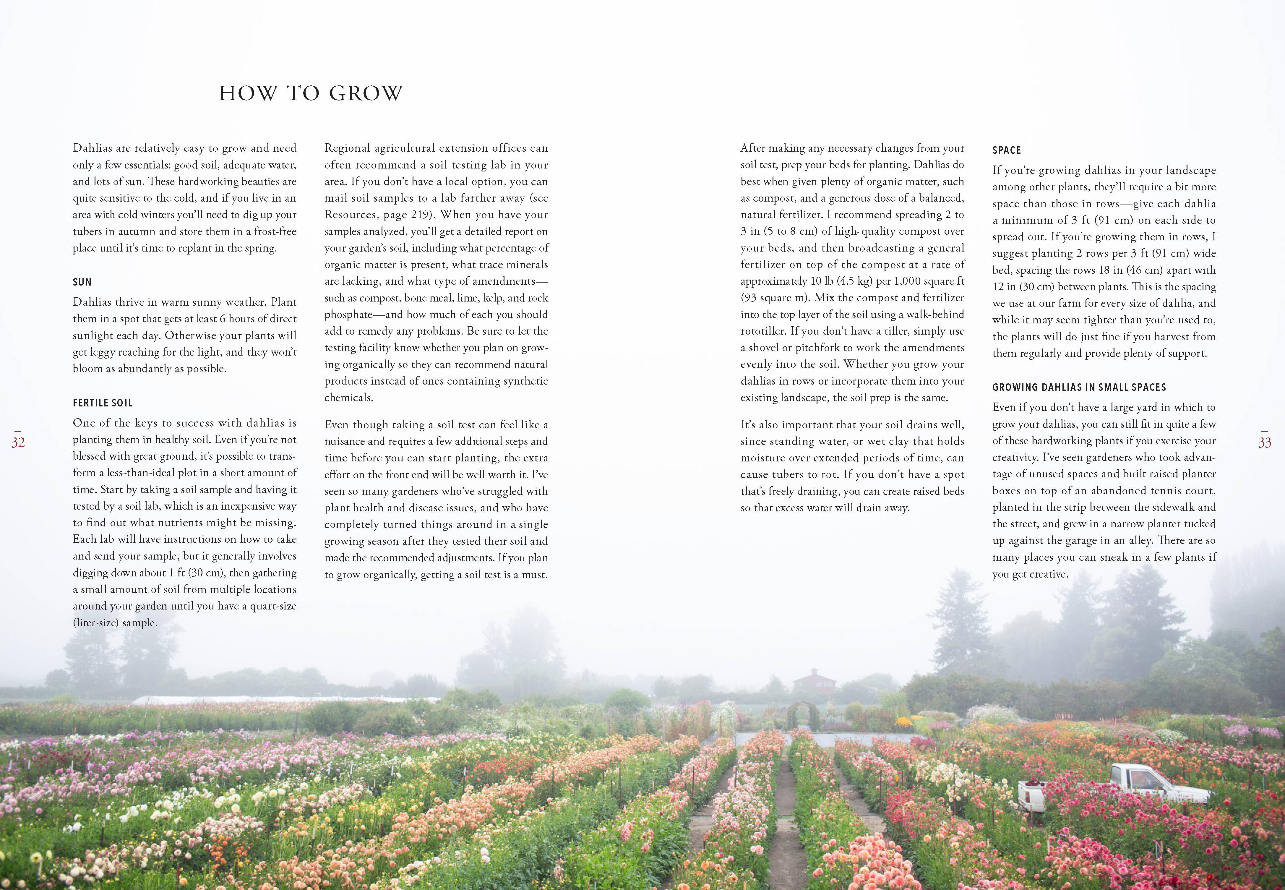 Floret Farm's Discovering Dahlias