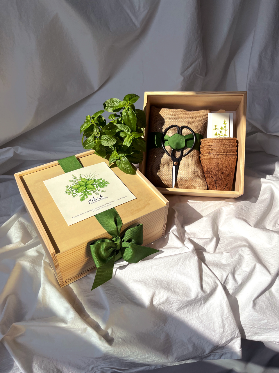 Flower Cutting Garden Box | Mixed Zinnia | Mother's Day