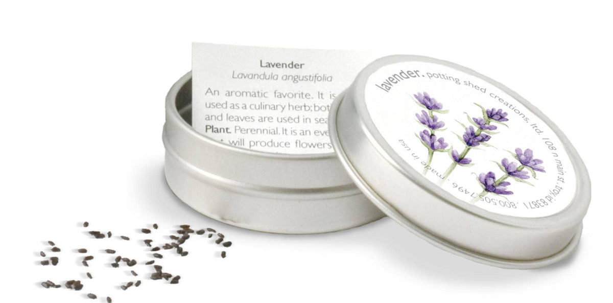 Garden Sprinkles Hummingbird | Best Seller | Spring Garden 