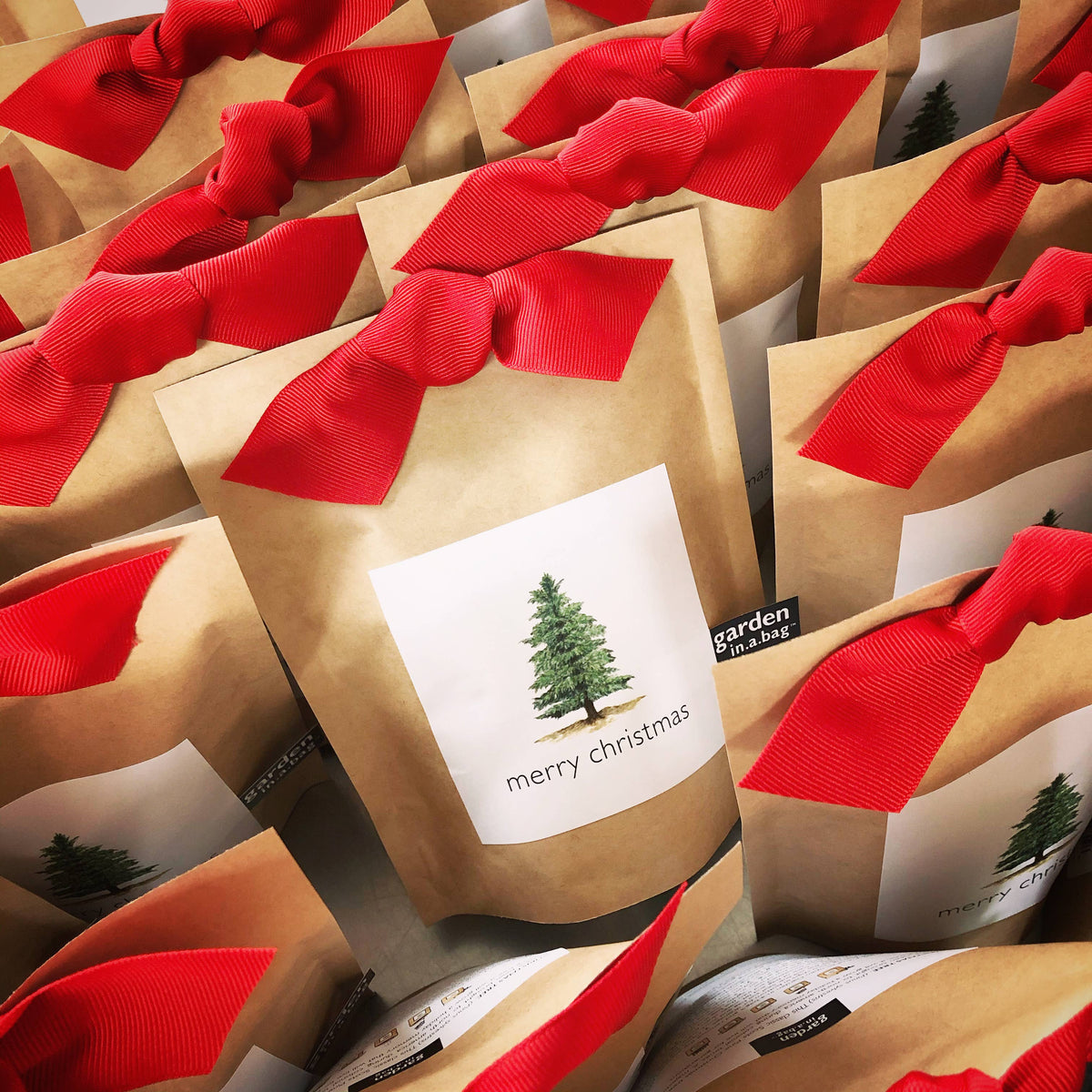 Garden in a Bag Christmas Tree | Holiday Best Seller