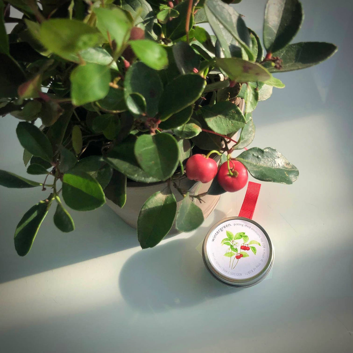 Garden Sprinkle Ornaments | Christmas Wintergreen | Fall