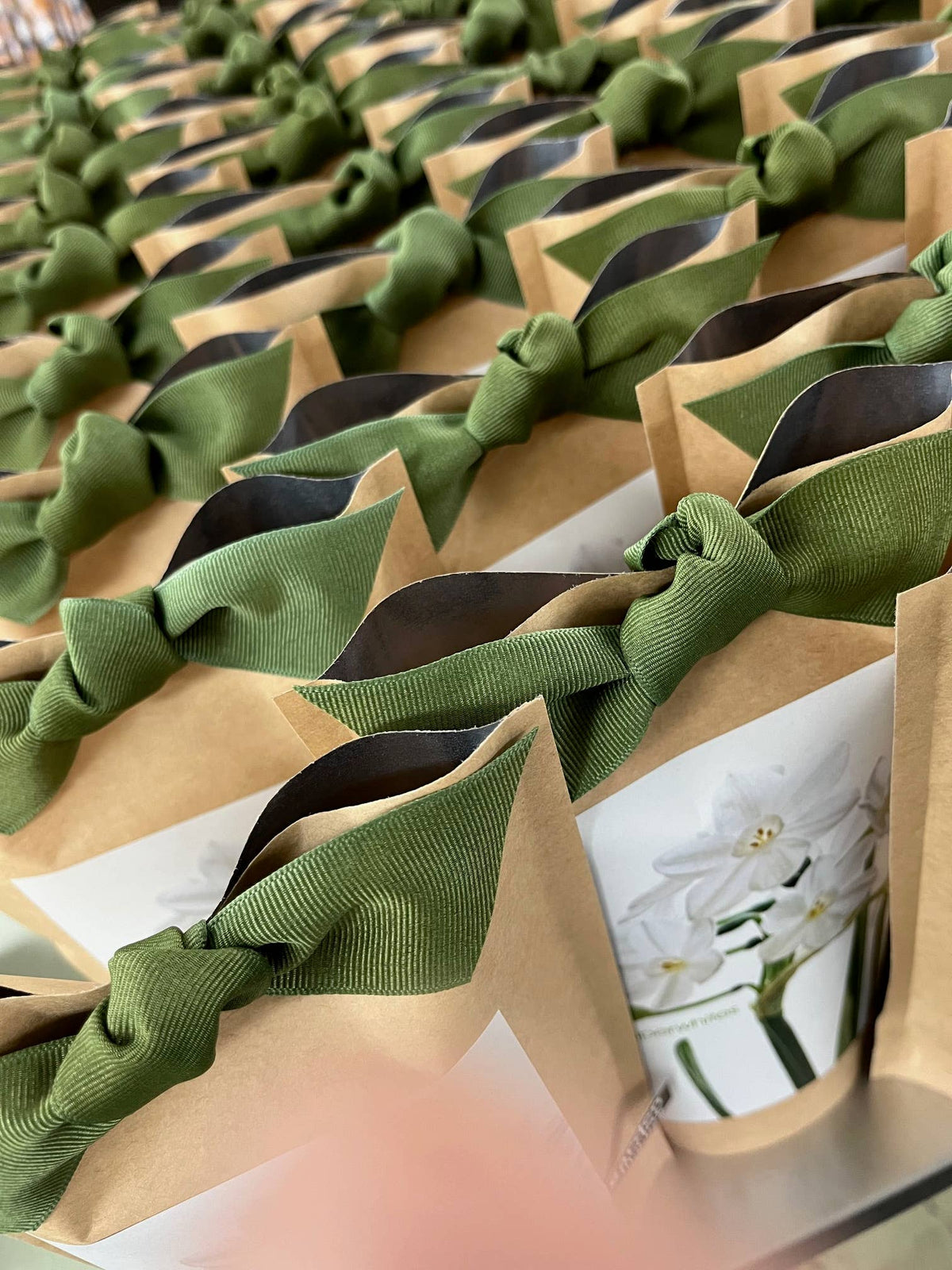 Garden in a Bag Paperwhites | Fall & Christmas | Best Seller