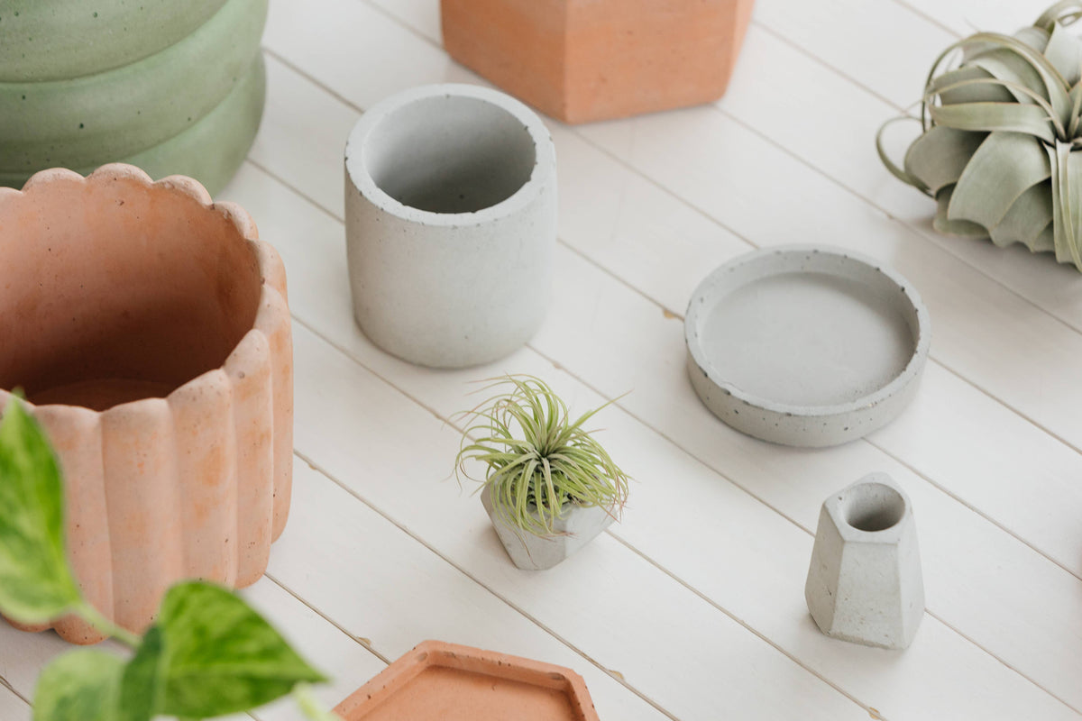 Scallop Planter - 4.5"