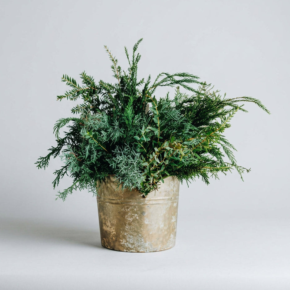 Holiday Evergreen Centerpiece