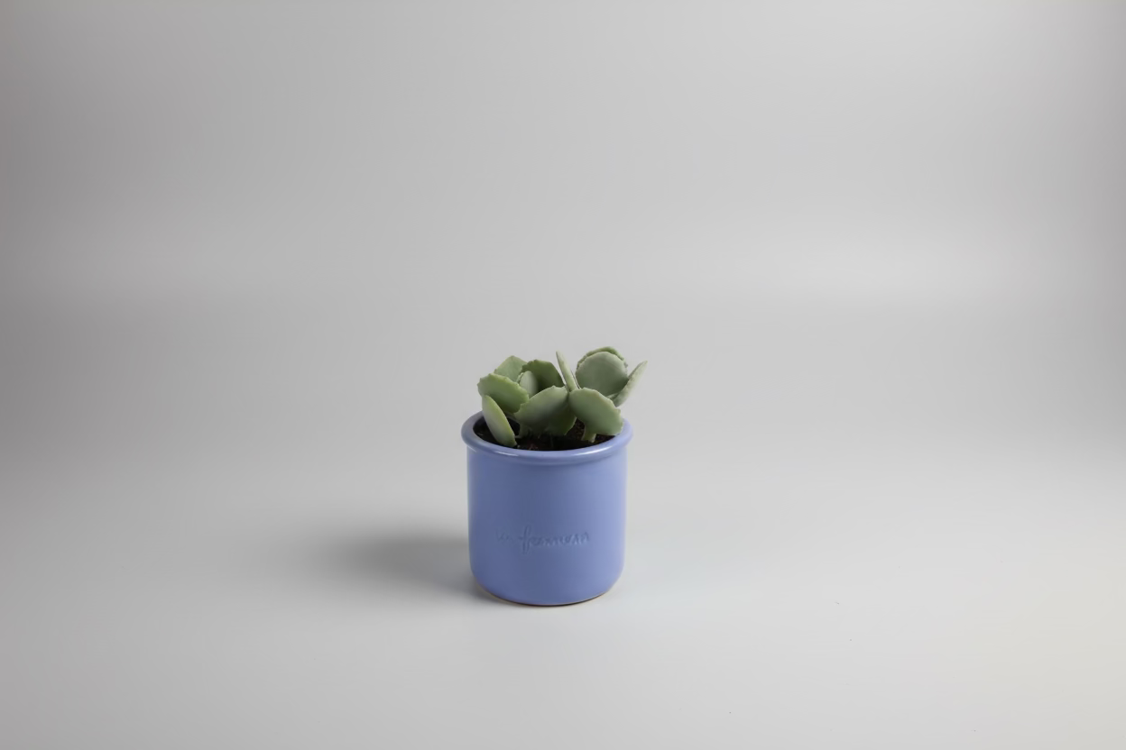 Locally Grown Plants