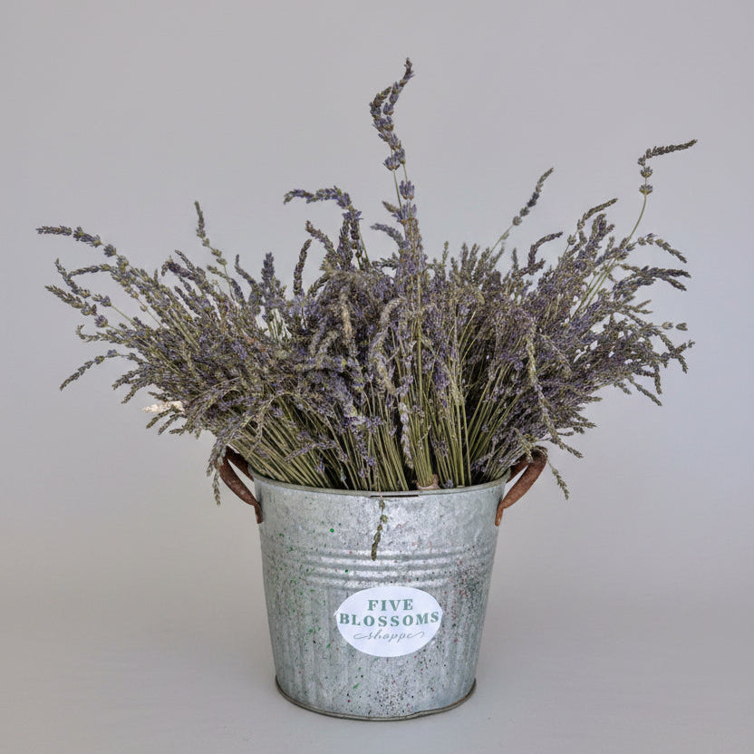 Lavender Shower Bundle