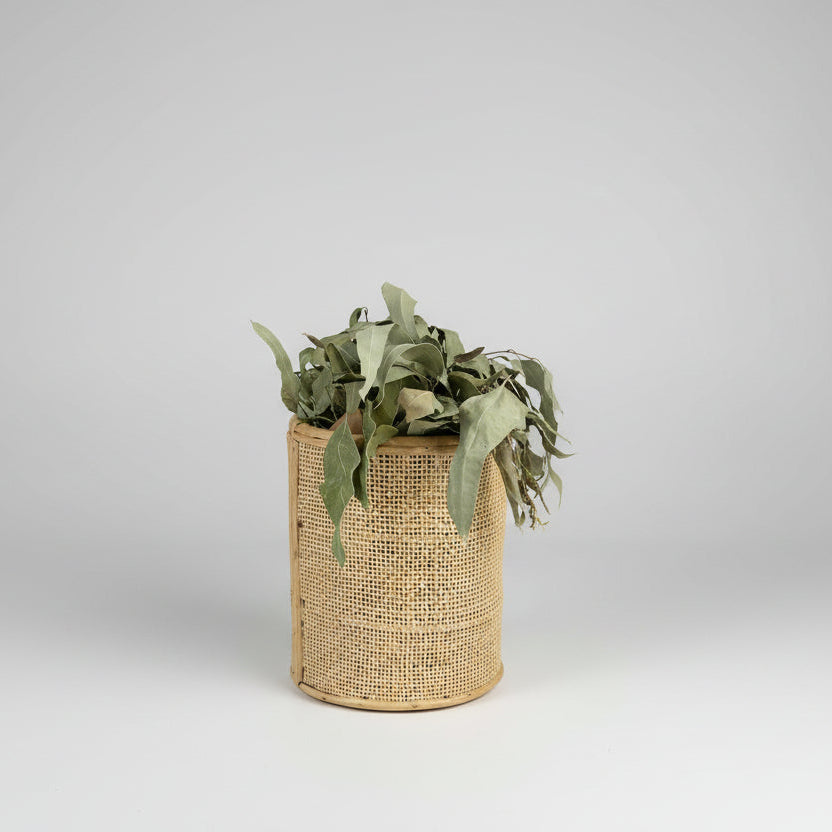Eucalyptus Shower Bundle