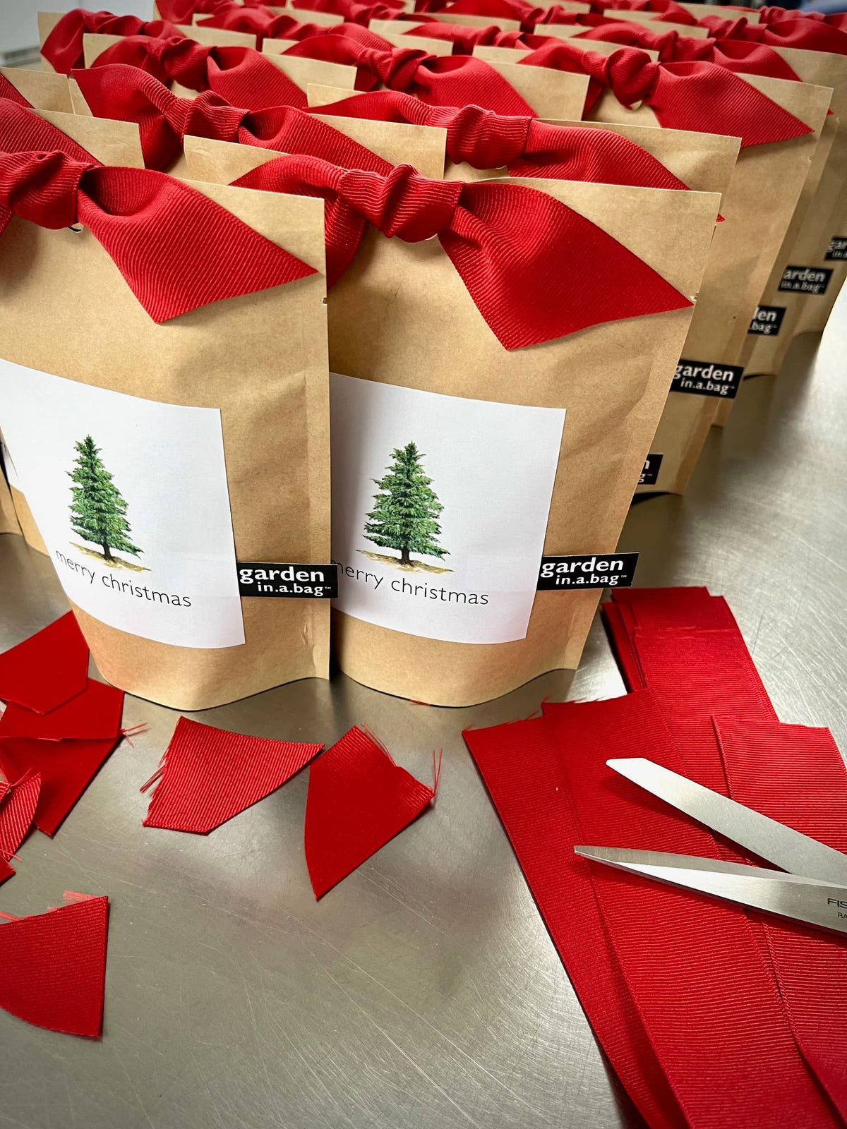 Garden in a Bag Christmas Tree | Holiday Best Seller