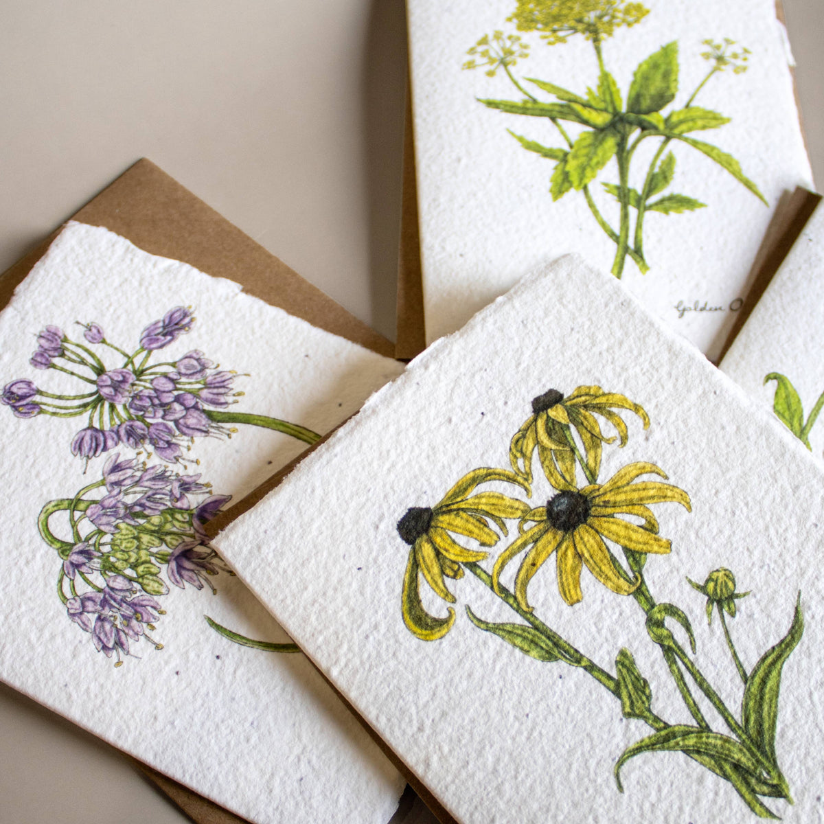 Plantable Botanical Greeting Card