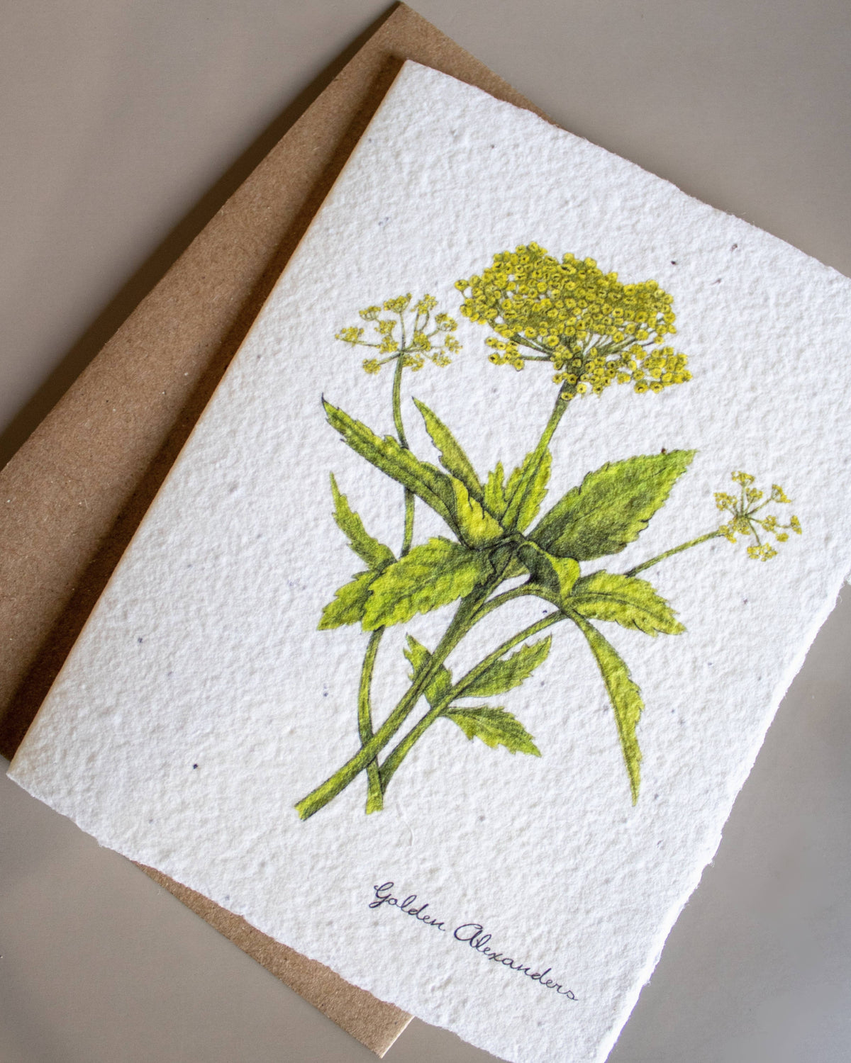 Plantable Botanical Greeting Card