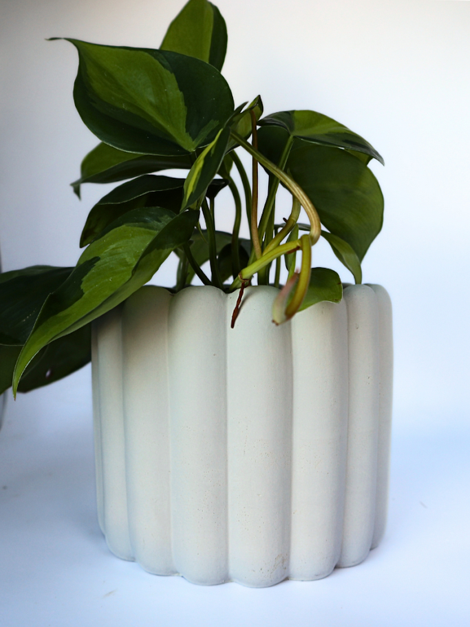 Scallop Planter - 4.5"