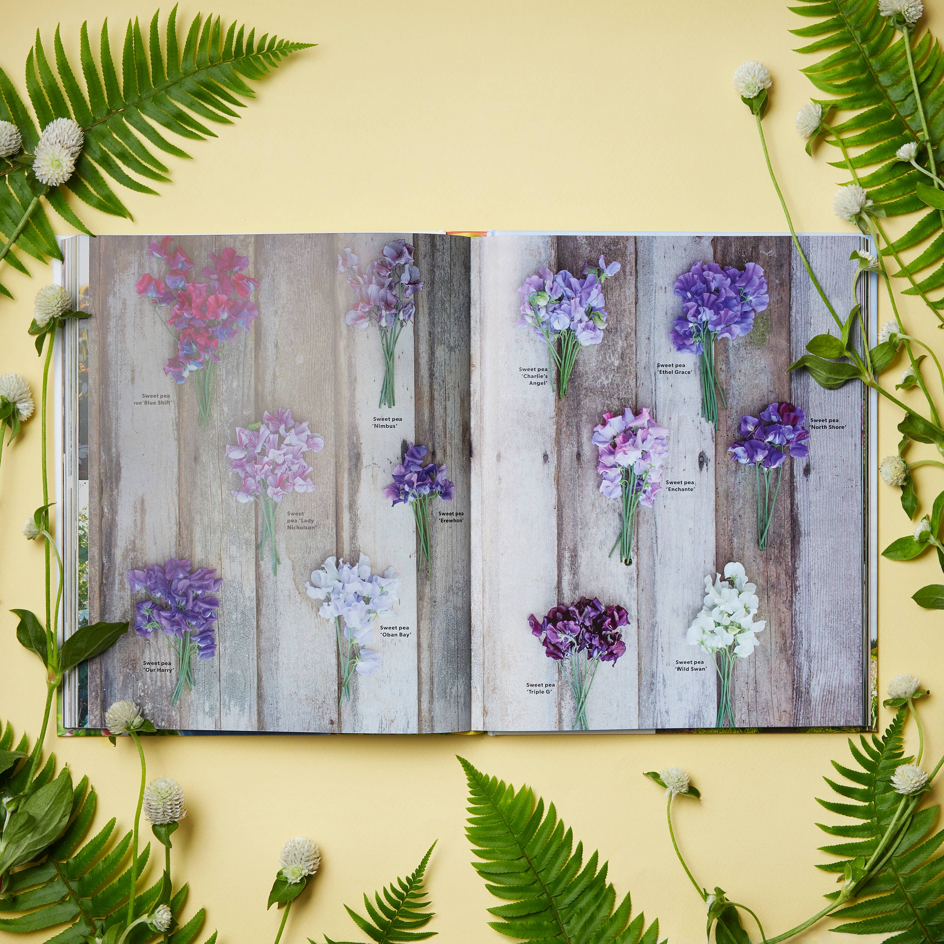 Floret Farm's A Year in Flowers