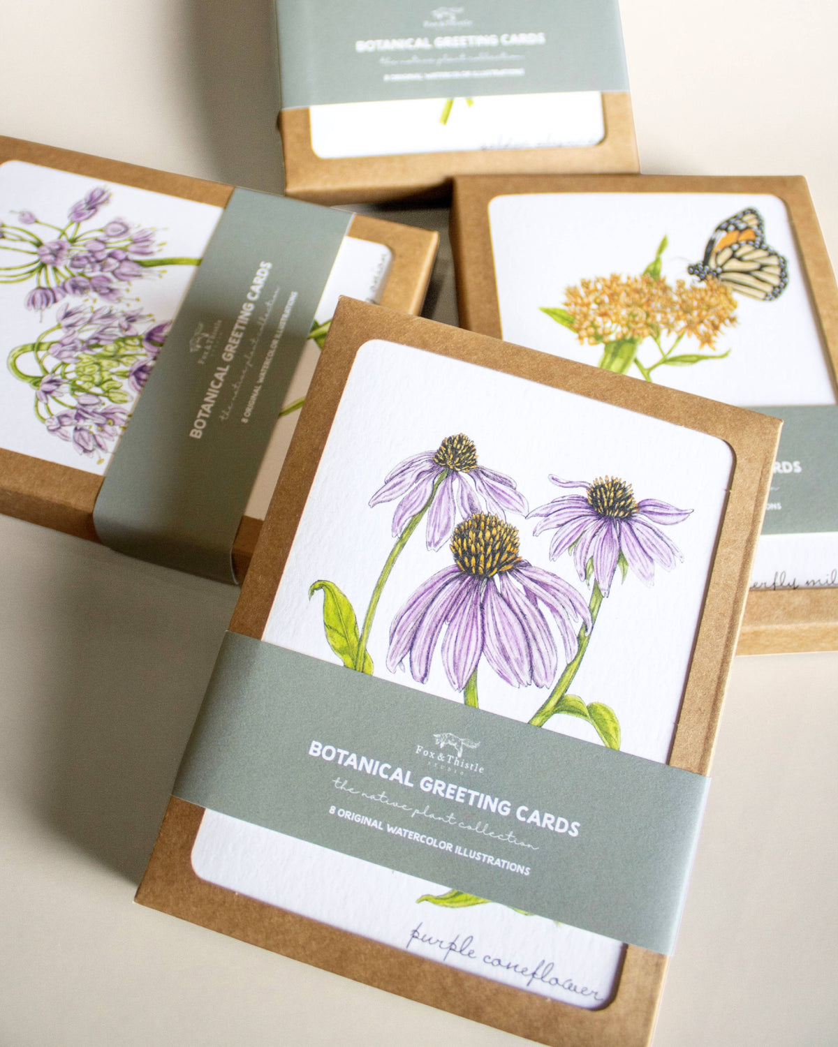 Boxed Botanical Illustration Greeting Card Set