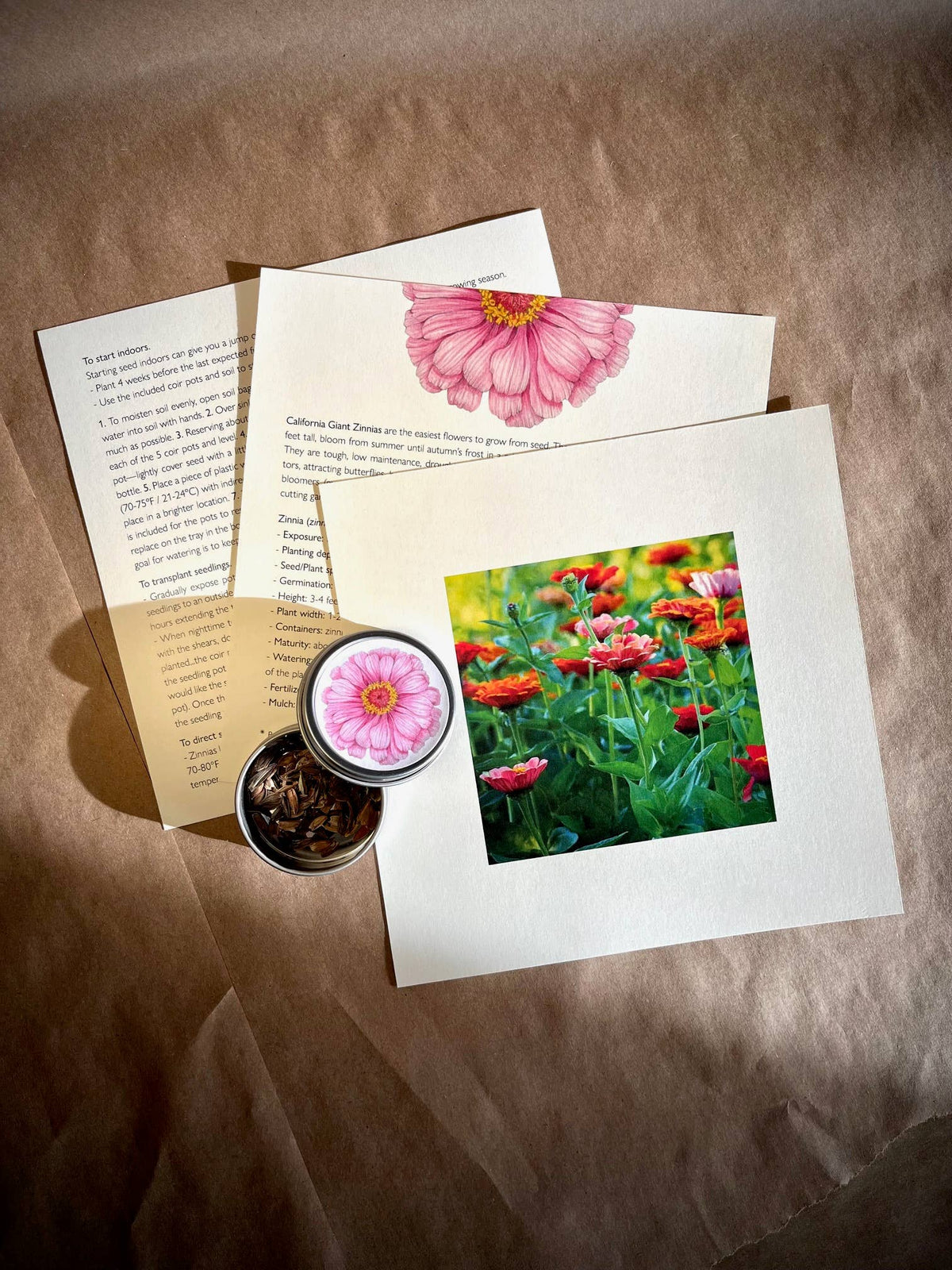 Flower Cutting Garden Box | Mixed Zinnia | Mother's Day