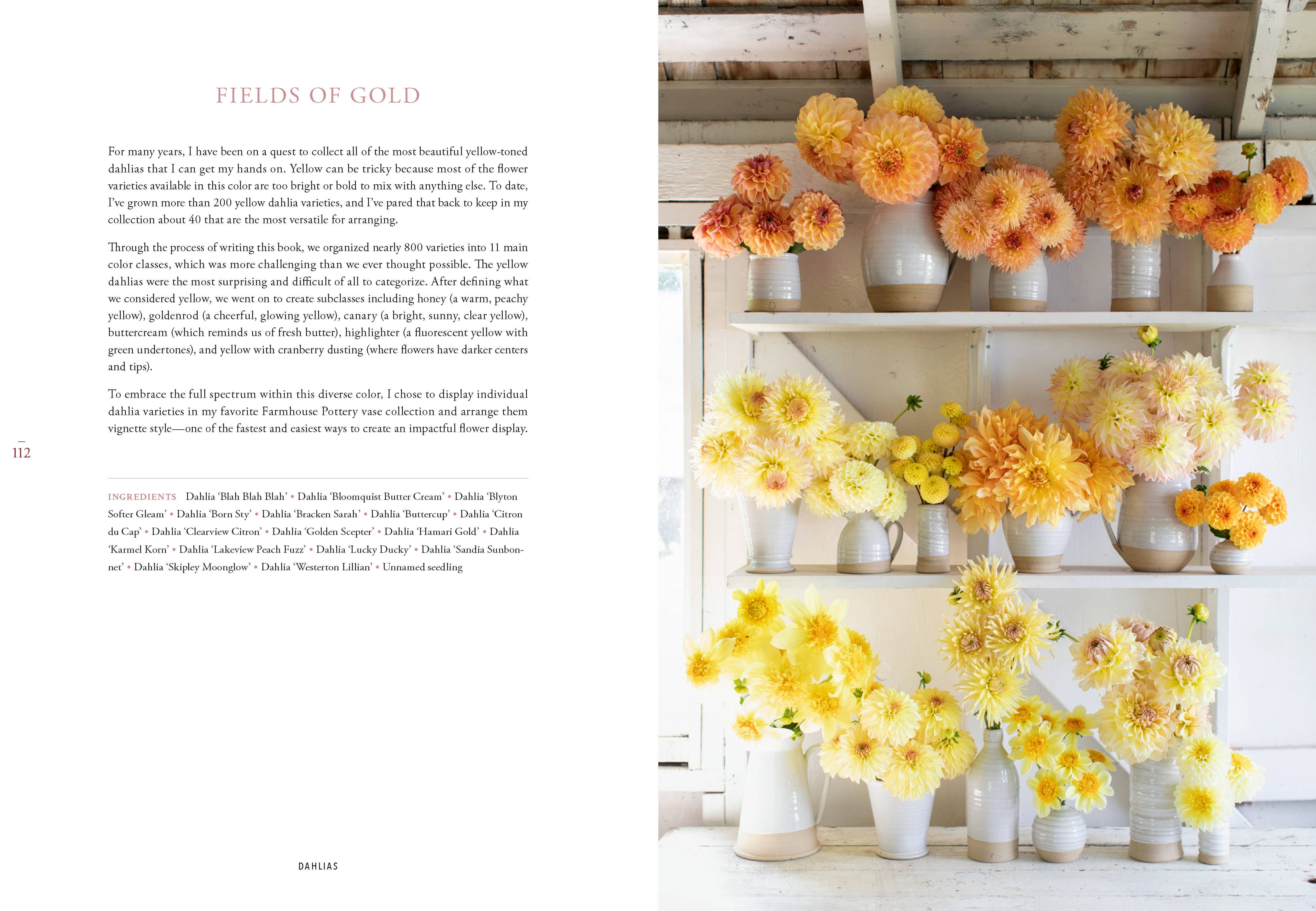 Floret Farm's Discovering Dahlias