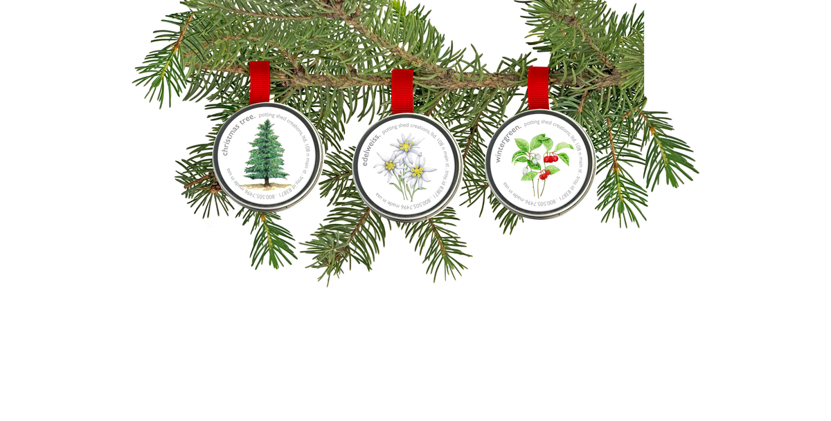 Garden Sprinkle Ornaments | Christmas Wintergreen | Fall