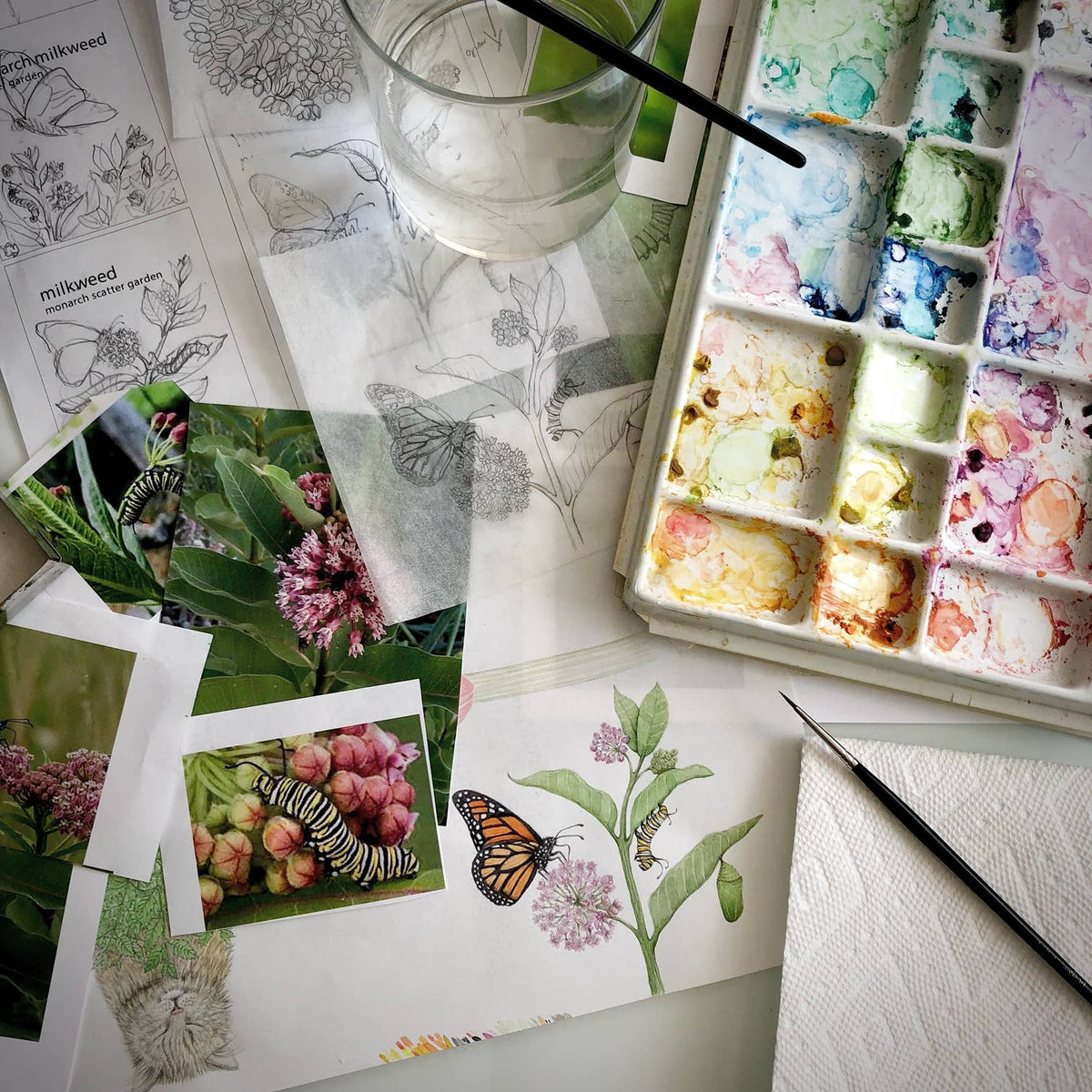Garden Sprinkles | Monarch Milkweed & Flower Garden | Spring