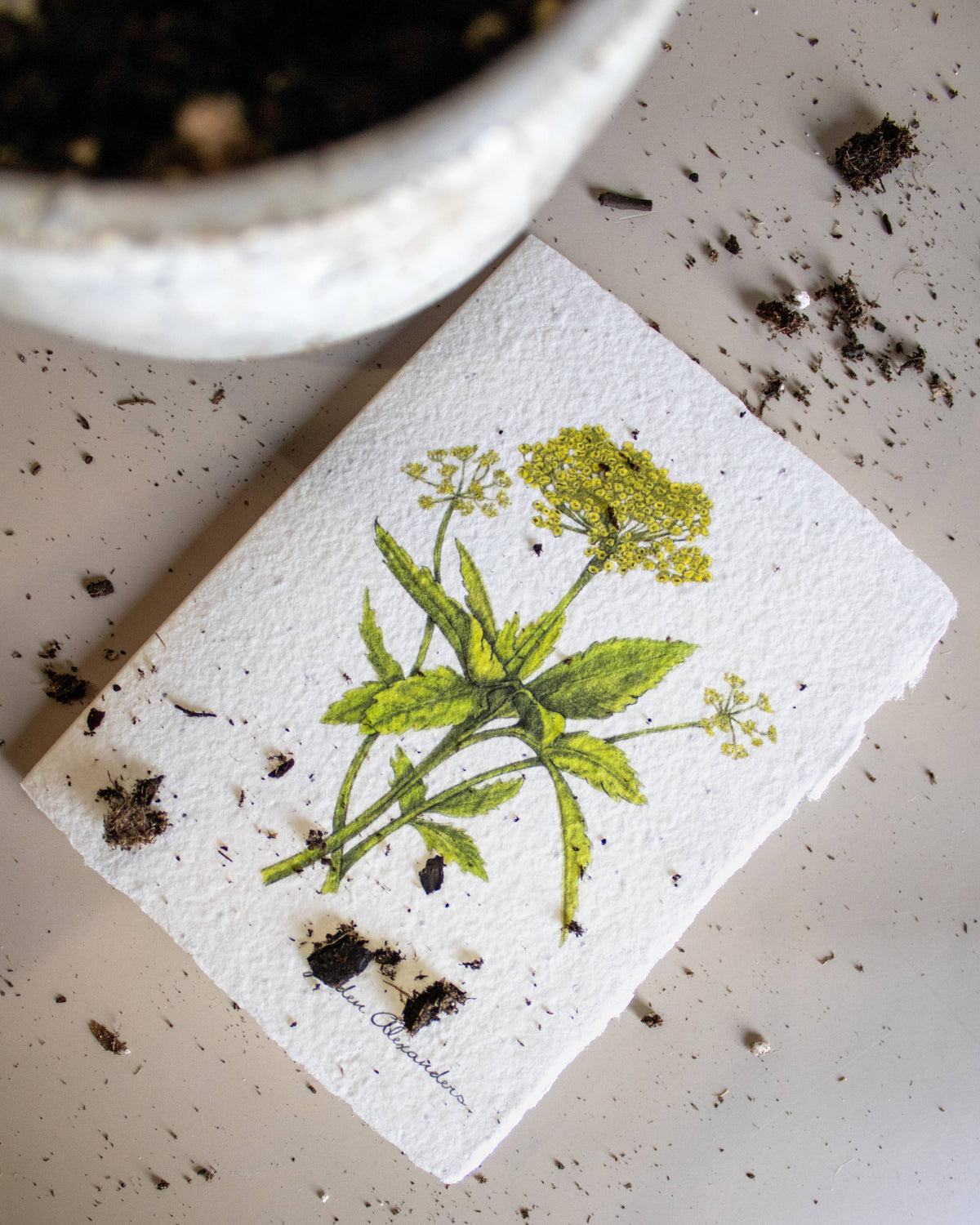 Plantable Botanical Greeting Card